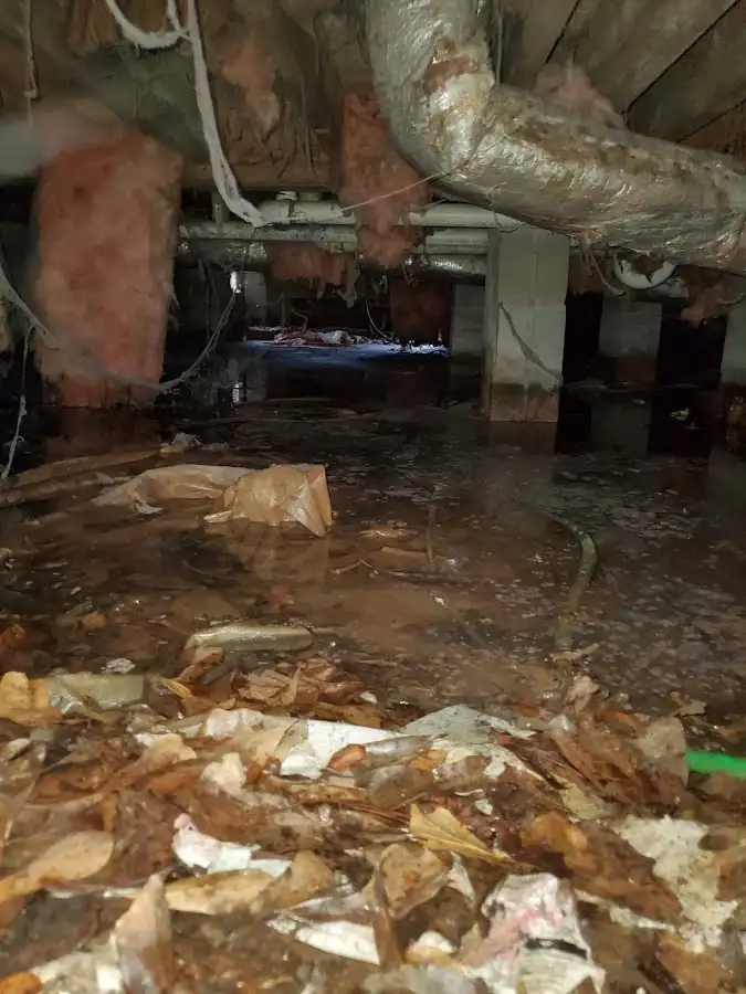 Crawl space flood assessment for Leak Detection & Repair in Crockett
