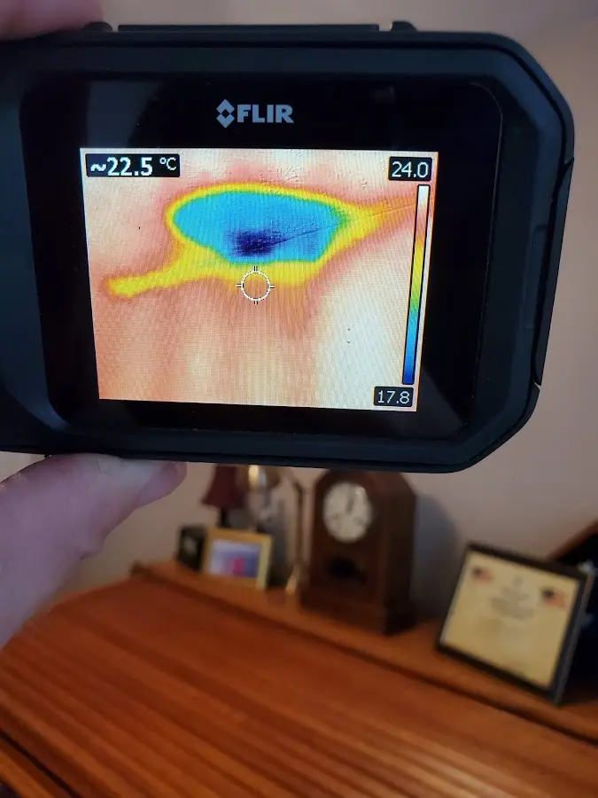 Thermal imaging inspection for water damage in Crockett